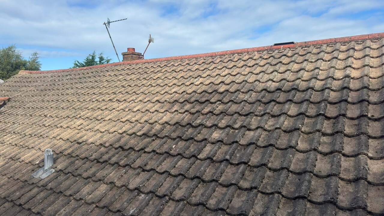 A concrete tile roof after moss removal and a soft wash