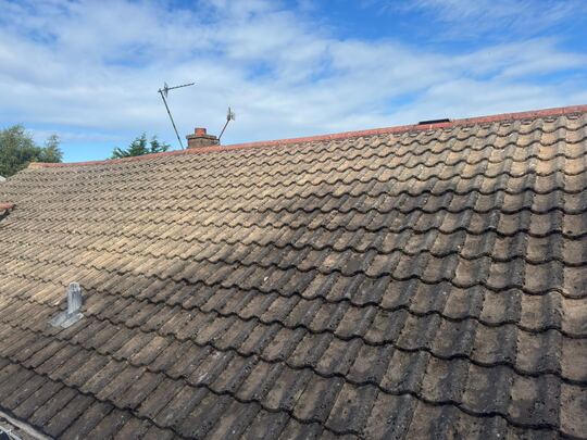 After: concrete tile roof