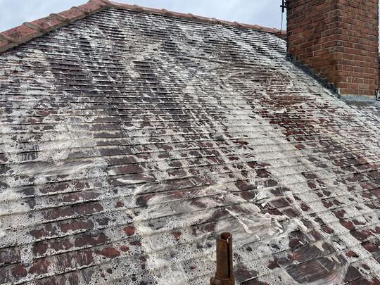 Roof with a white biocide treatment applied to heavy moss