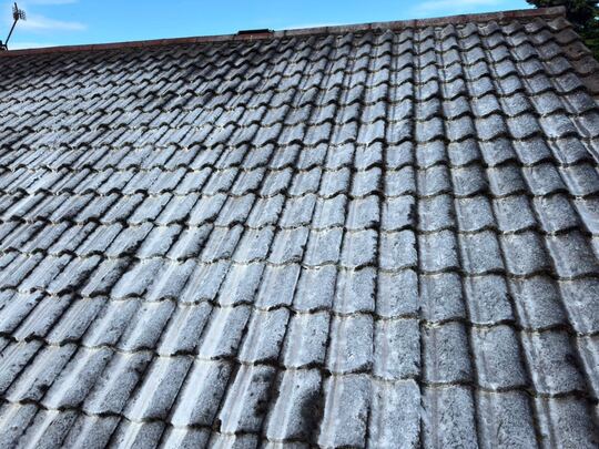 Roof tiles with a biocide treatment applied